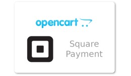 Square Payment