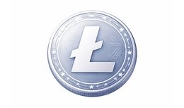 Litecoin Payment Extension (Standalone)