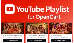 YouTube Playlist Module