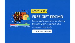 Free Gift Promotion: Boost Sales with Automatic ..