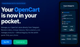 Telegram Manager Lite