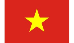 Vietnamese Language 4.1 - 4.x