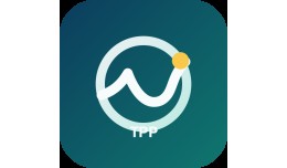Theme Performance Pulse