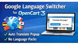 Google Language Switcher – Auto Translate Stor..