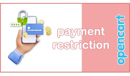 Payment Restrictions - customer group, store, sh..