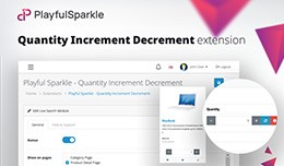 Quantity Increment Decrement