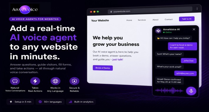 AnveVoice — Voice AI for Your Website