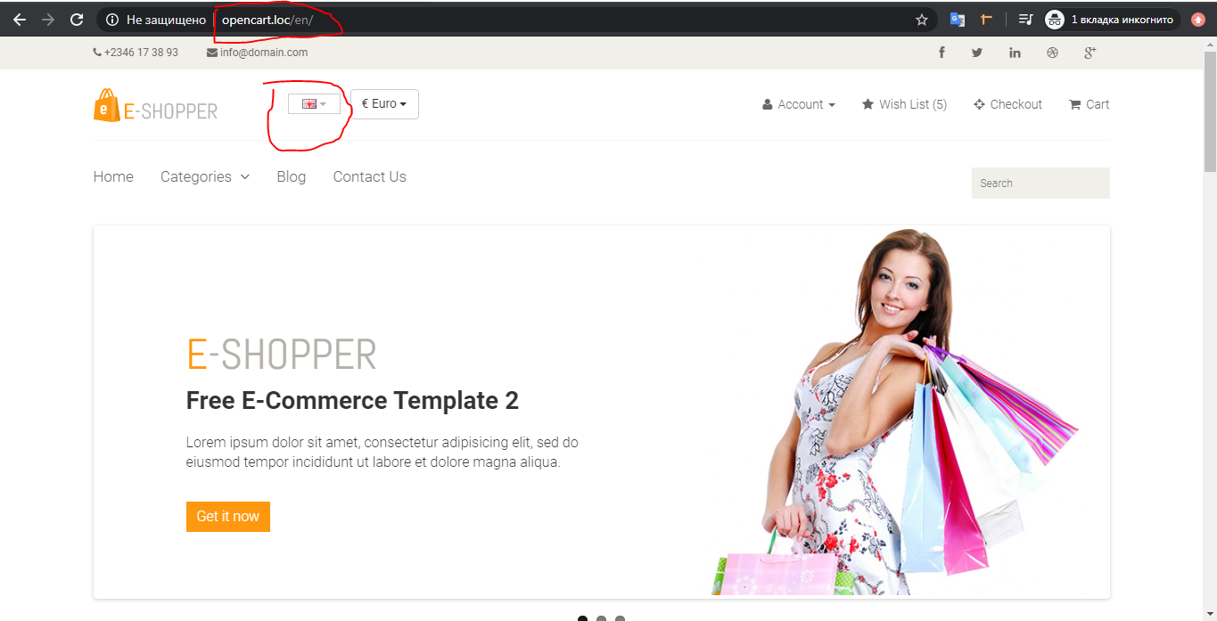 OpenCart Language in url